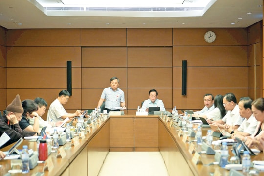 Quy định rõ hơn trách nhiệm giữa thanh tra với kiểm toán