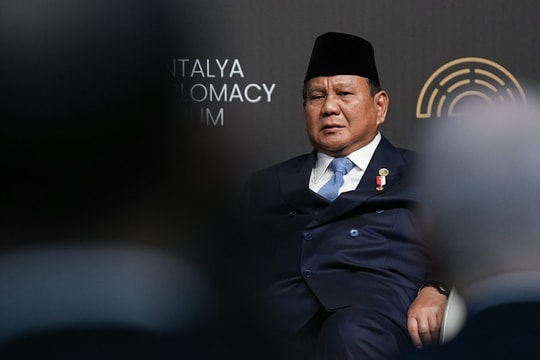 Tự do và chủ động