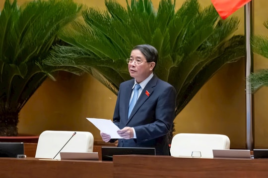 Dự thảo Luật Thuế tiêu thụ đặc biệt (sửa đổi): Áp dụng lộ trình tăng dần theo từng giai đoạn