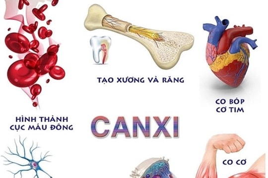 Thiếu canxi: Nguy cơ tiềm ẩn cho cả trẻ em và người lớn