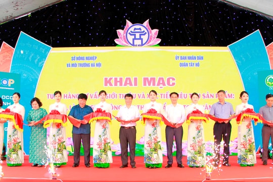 Hà Nội: Hơn 500 sản phẩm tham gia tổ Tuần hàng tư vấn, giới thiệu và xúc tiến tiêu thụ sản phẩm OCOP 2025