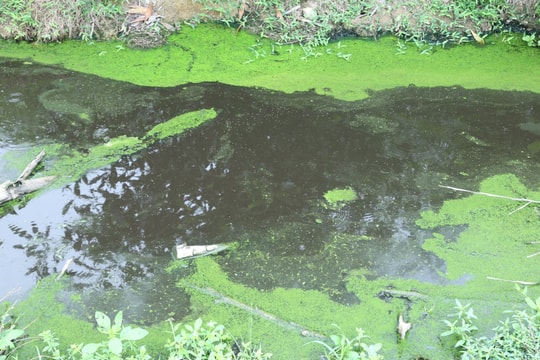 Hà Tĩnh tổng rà soát các cơ sở, địa điểm gây ô nhiễm môi trường