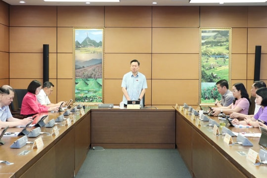 Cần bổ sung mốc thời gian cụ thể để xác định hành vi không góp đủ vốn điều lệ đã cam kết