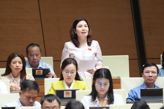 Công bố hợp quy làm phát sinh thêm thủ tục hành chính