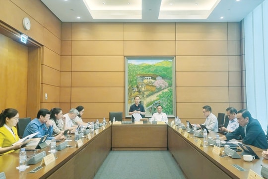 Cân nhắc phạm vi viên chức được lập doanh nghiệp