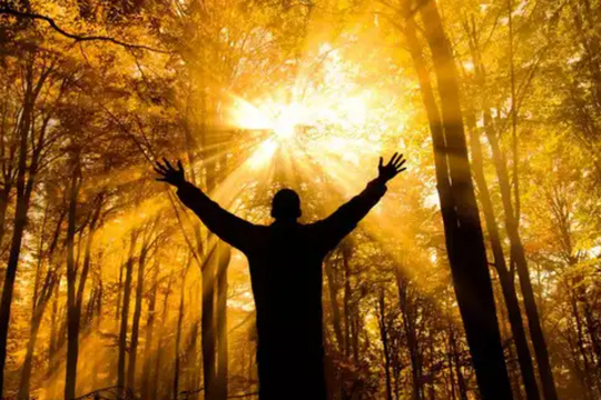 Duy trì quy tắc 5-7-5 giúp bạn sống chất lượng hơn