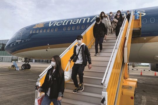 Việt Nam chưa cho phép tuyển chọn, đưa lao động sang Israel