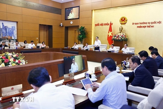 Nghị quyết Về việc điều động, bổ nhiệm nhân sự giữ chức Trợ lý Phó Chủ tịch Quốc hội Vũ Hồng Thanh