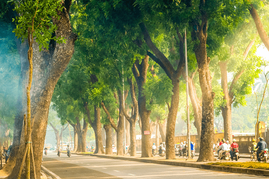 Dự báo thời tiết ngày 13/5: Khu vực Bắc Bộ và Bắc Trung Bộ ngày nắng, đêm có mưa vài nơi