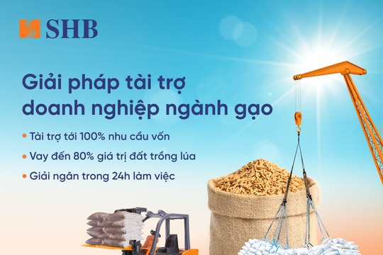 SHB ra mắt giải pháp tài trợ linh hoạt cho ngành gạo, đồng hành cùng Chính phủ phát triển nông nghiệp bền vững