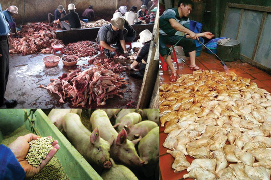 Mẹo nhận diện thực phẩm “bẩn”