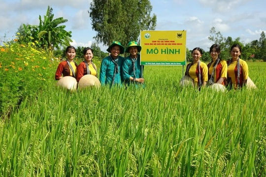 Nỗ lực đưa thương hiệu vươn xa