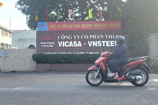 Đồng Nai: Xử phạt Công ty Cổ phần Thép Vicasa – VNSteel, buộc di dời cơ sở