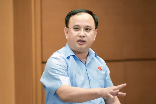 ĐBQH Trần Đức Thuận (Nghệ An): Cần cơ chế thực chất để thu hút và giữ chân người tài