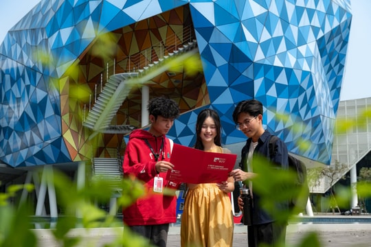 Ngành dữ liệu thống trị thị trường: Mức lương lên tới 150 triệu đồng/tháng