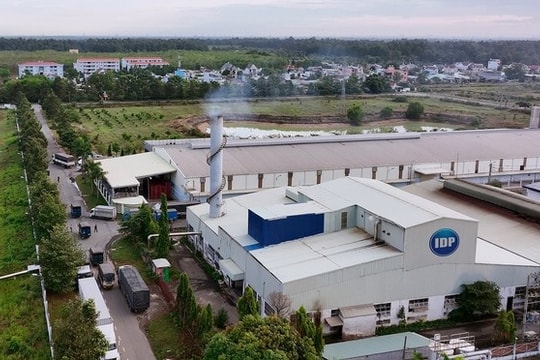 Công ty sữa của đại gia Tô Hải, Trương Nguyễn Thiên Kim mua thêm 34% vốn của một doanh nghiệp chăn nuôi trâu, bò