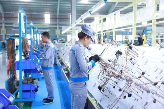 Bài 2: Kinh tế tư nhân đã đủ lực nhưng thiếu đà