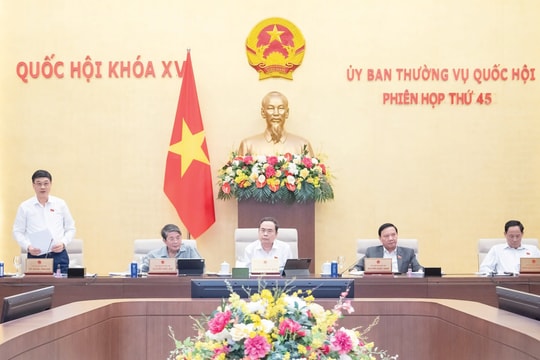 Tiếp tục hoàn thiện chính sách phát triển kinh tế tư nhân