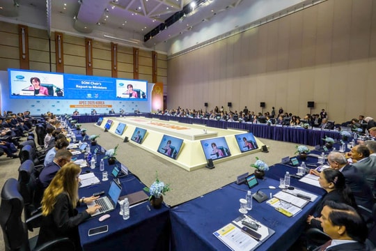 Hội nghị Bộ trưởng Thương mại APEC lần thứ 31