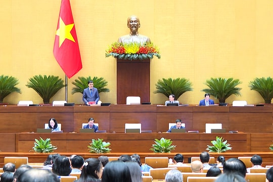 Cần quy định rõ các ngành, lĩnh vực buộc phải tiền kiểm