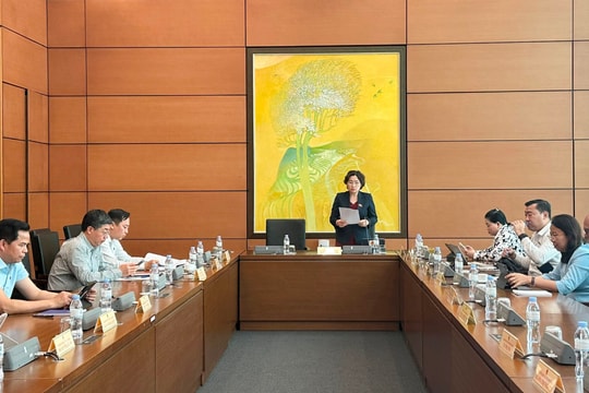 Cần có cơ chế đặc biệt về nhập quốc tịch để thu hút “tổng công trình sư”, chuyên gia đầu ngành