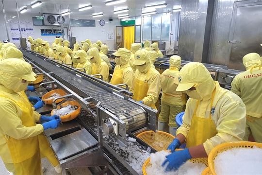 Bài 3: Chính sách “chưa từng có” cho kinh tế tư nhân