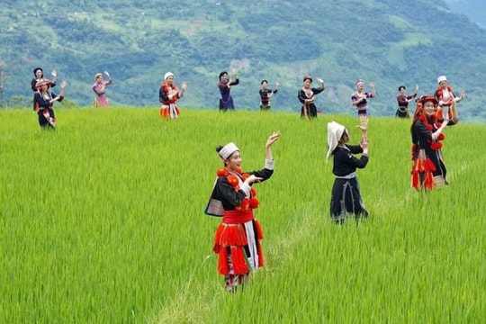 Tuyên Quang bứt phá từ chính sách nông nghiệp hàng hóa