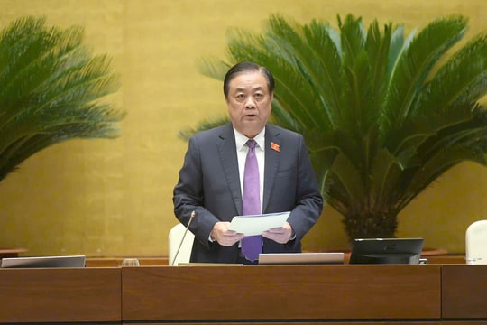 Cần thể chế hóa đầy đủ "cơ chế đặc biệt về nhập quốc tịch"