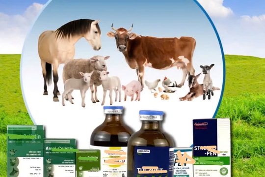 Tiền Giang: Phát hiện 2 hộ kinh doanh buôn bán thuốc thú y, thủy sản không đạt chất lượng