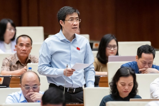 Rõ trách nhiệm sàn thương mại điện tử, thống nhất chính sách thuế