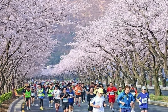 Thu hút khách du lịch Việt Nam đến Hàn Quốc mùa thu - đông