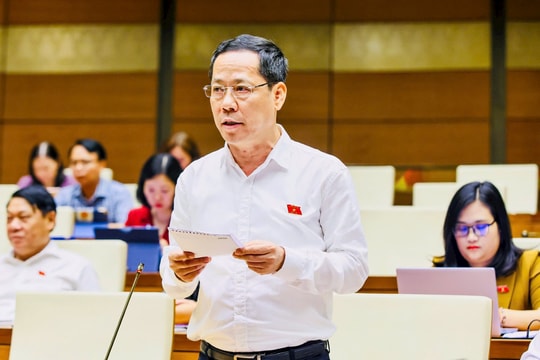 ĐBQH Trần Nhật Minh (Nghệ An) Hoàn thiện quy định chuyển tiếp trong tổ chức Tòa án