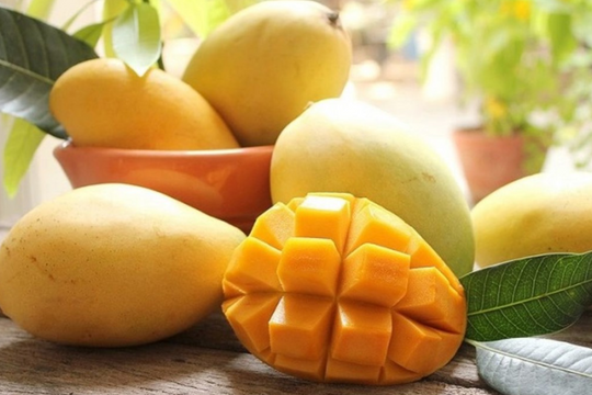 Những lợi ích mới của quả xoài có thể bạn chưa biết