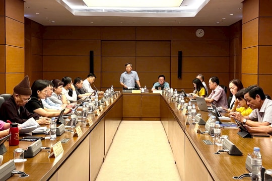 Chế tài xử phạt phải đủ tính răn đe, phù hợp với thực tiễn