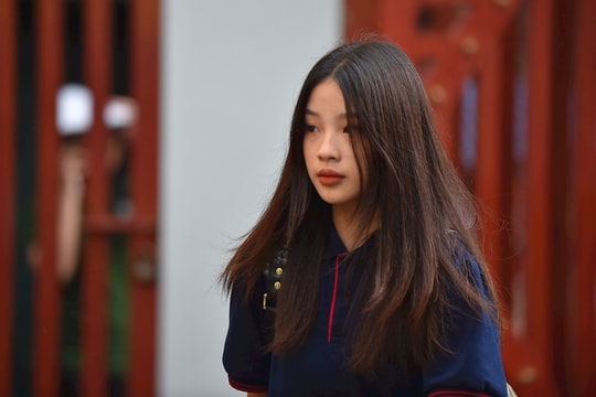 Chứng chỉ ngoại ngữ đưa vào tổ hợp xét tuyển đại học không vượt quá 50%