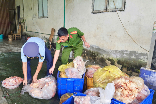 Hơn 3,9 tấn thực phẩm đông lạnh đổi màu, bốc mùi bị thu giữ tại Hà Giang