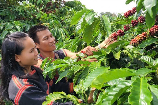 Thoát nghèo bằng vốn tín dụng chính sách