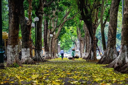 Dự báo thời tiết ngày 22/5: Hà Nội nắng nóng, Nam Bộ mưa cục bộ