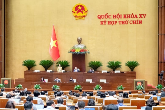 Chú trọng tổ chức bầu cử, theo sát quá trình triển khai ở địa phương