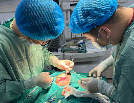 Bé 2 tuổi bị chó nhà cắn rách mặt, phải mổ cấp cứu và tiêm phòng dại