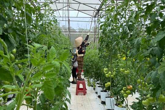 Lâm Đồng khai thác tối đa dư địa để bứt phá