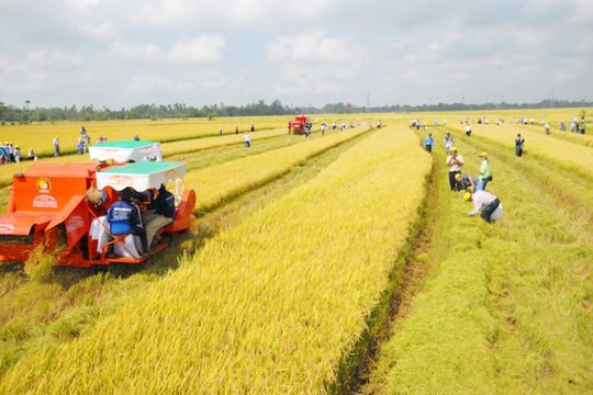 Không miễn thuế đất nông nghiệp nếu sử dụng sai mục đích