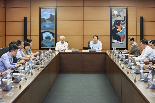 Rõ phạm vi, cơ chế bảo vệ nhóm yếu thế