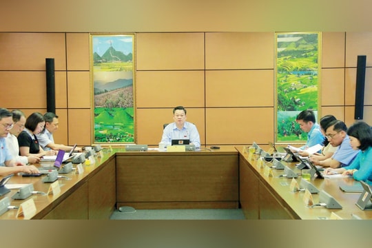 Tiếp tục nghiên cứu mở rộng các chính sách hỗ trợ đi kèm