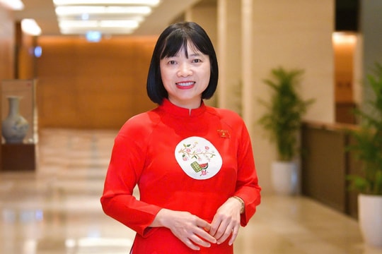 Có lộ trình rõ ràng, cụ thể, đánh giá kỹ tác động ngân sách