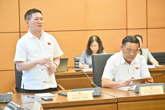 Hướng tới nền giáo dục hiện đại