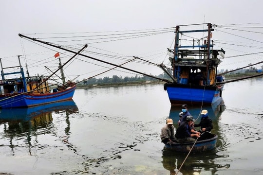 Ngư dân Quảng Trị bị phạt 150 triệu đồng do vi phạm về thiết bị giám sát hành trình