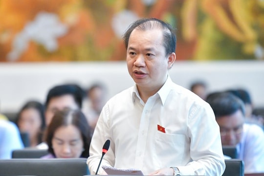 Đại biểu Quốc hội Bùi Hoài Sơn: “Chống thực phẩm giả như chống tham nhũng”