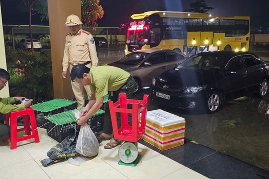 Phát hiện xe khách vận chuyển động vật hoang dã trái phép ở Hà Tĩnh