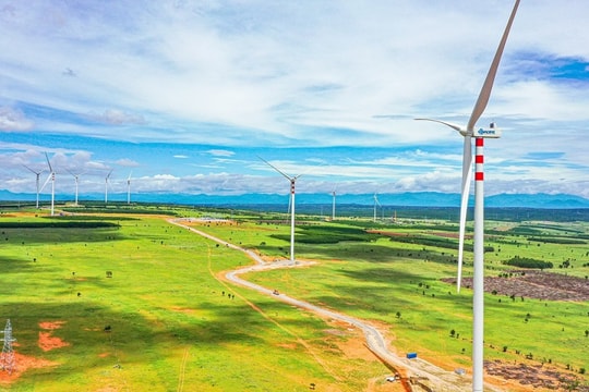 Doanh nghiệp bị Thanh Tra phát hiện loạt vi phạm về thuế